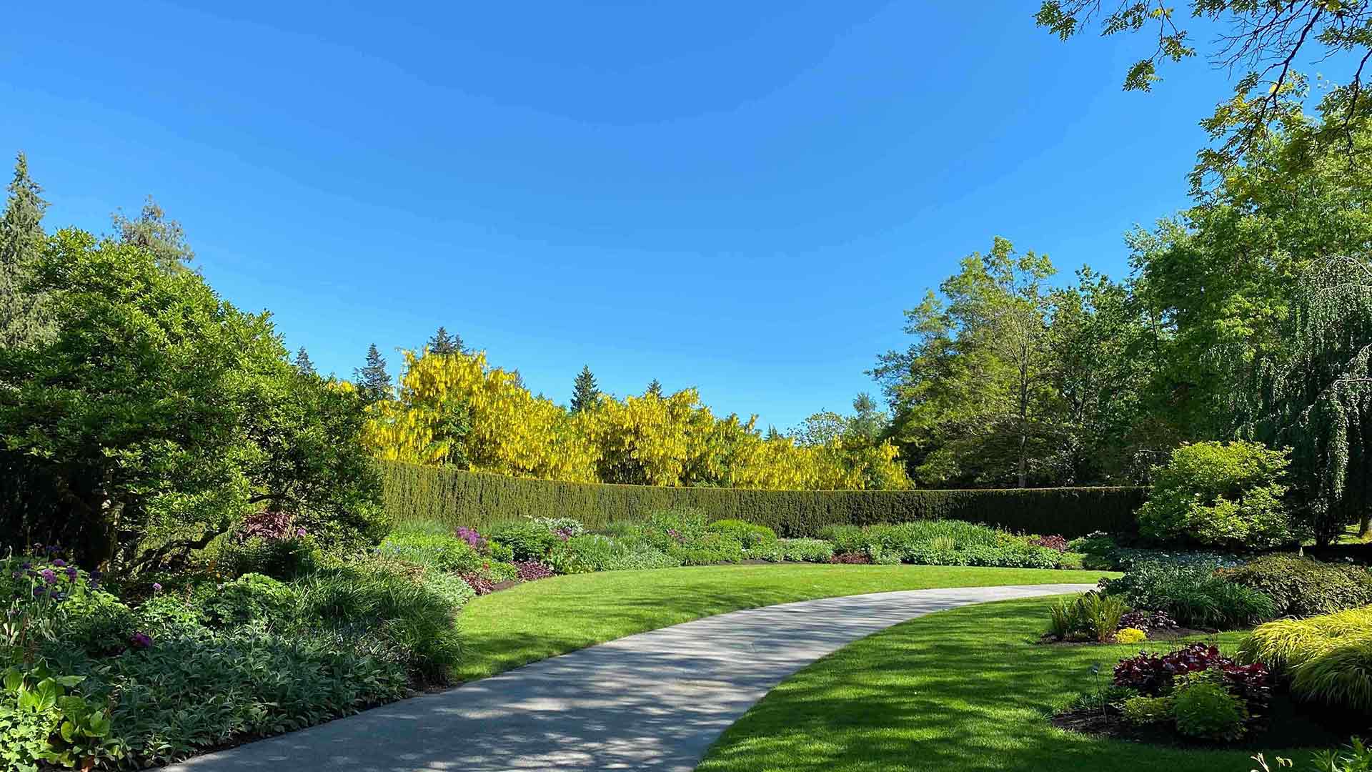 Professional Weeding Services