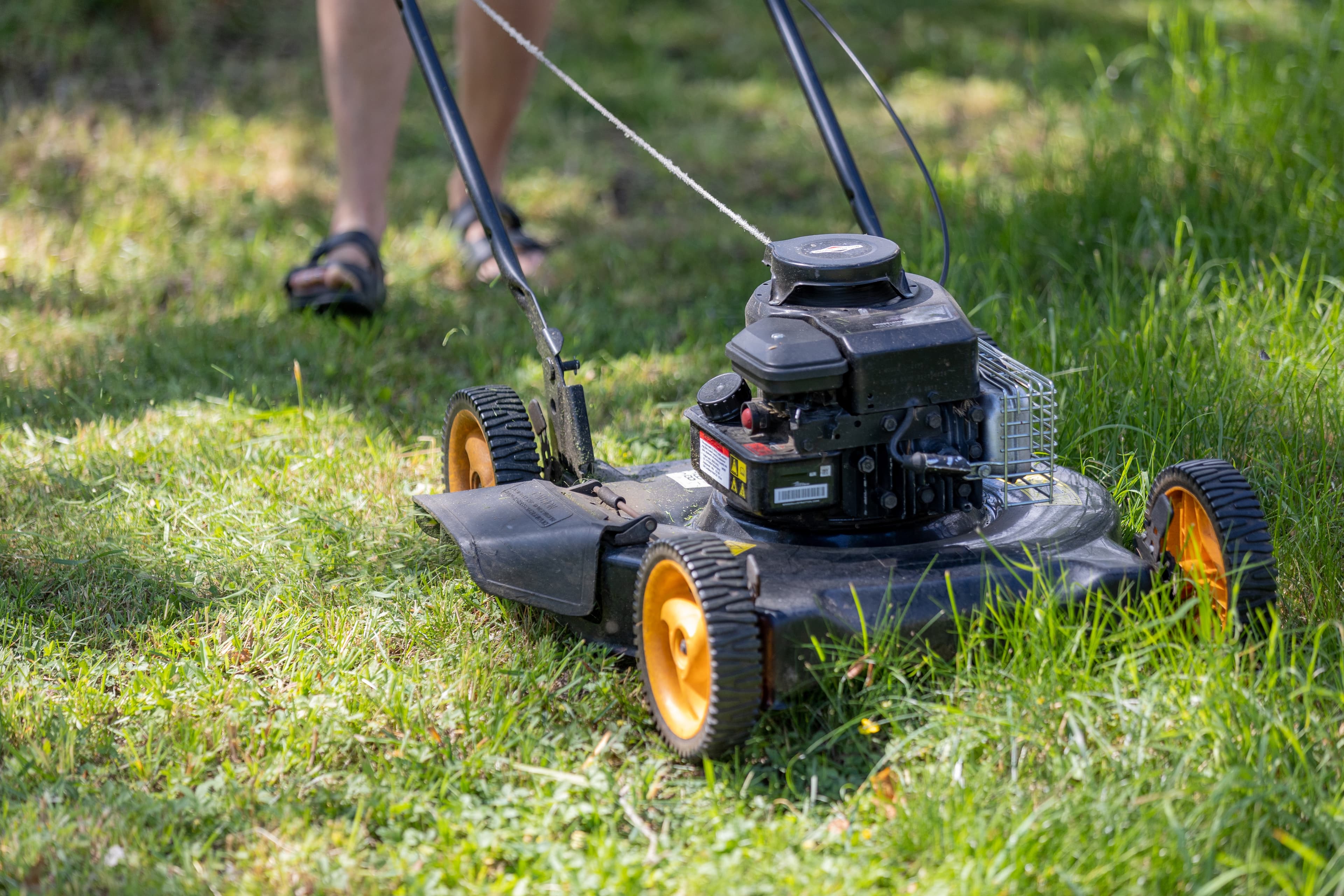 When to Start Cutting Grass in the UK 2025: Complete Guide